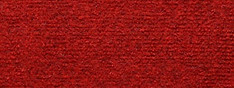 Basic-rojo_edited.jpg