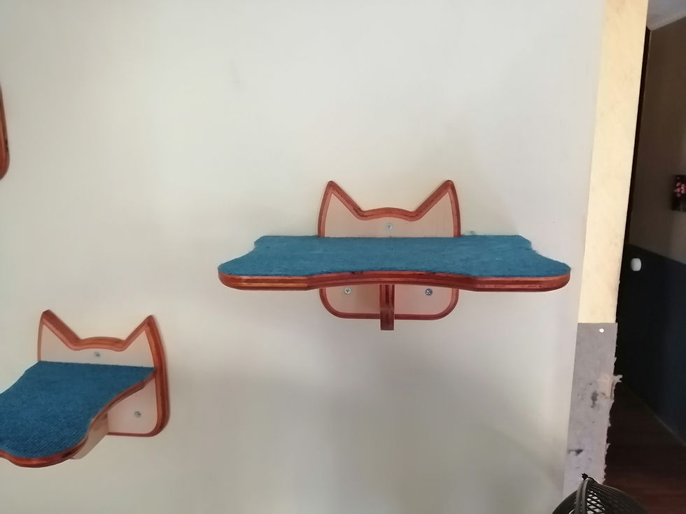 Plataforma 30x20 versión orejitas