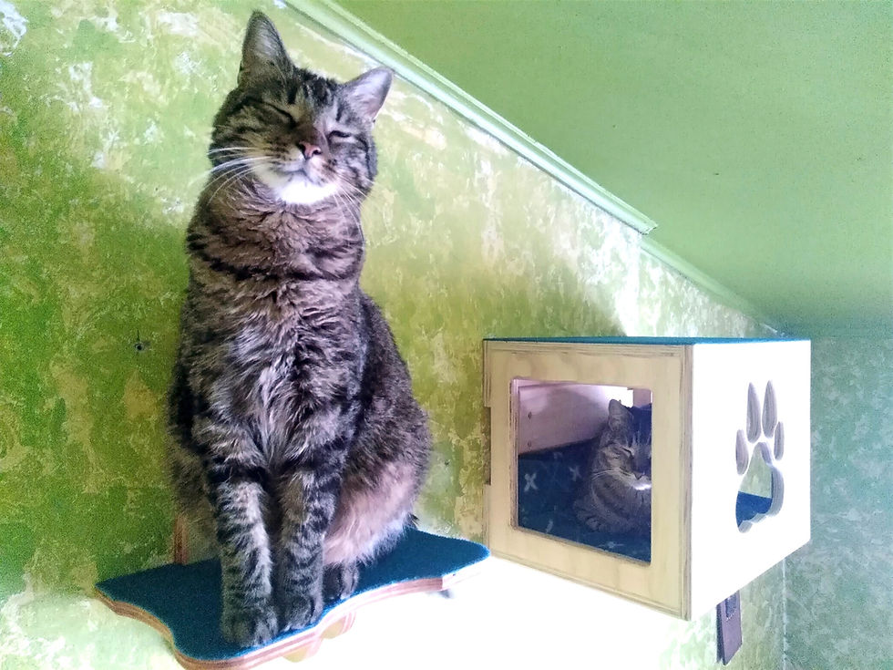 Catbox