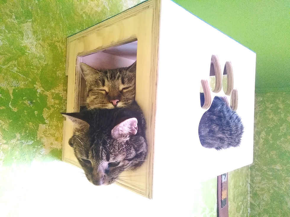Catbox