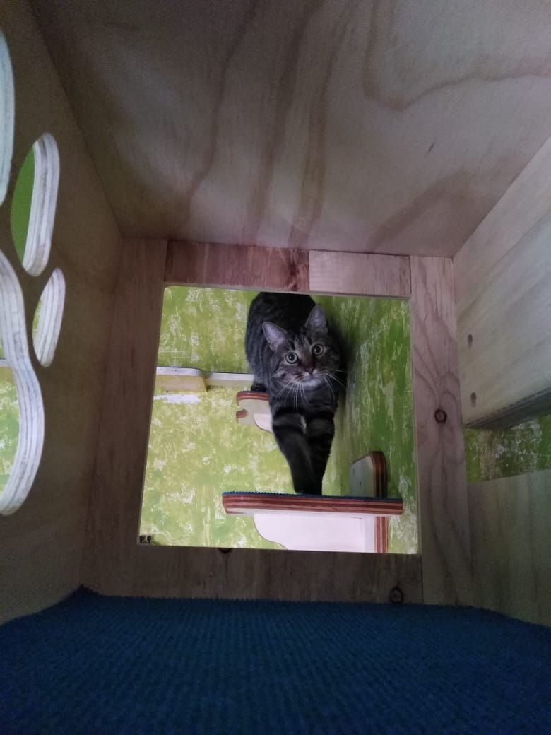 Catbox