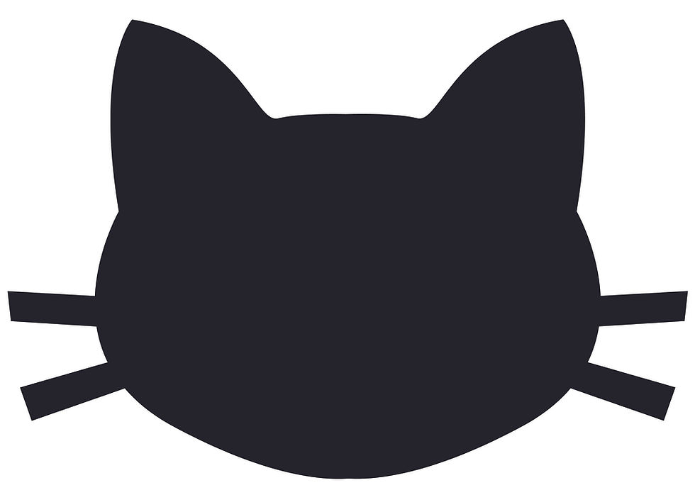 Diseño 1