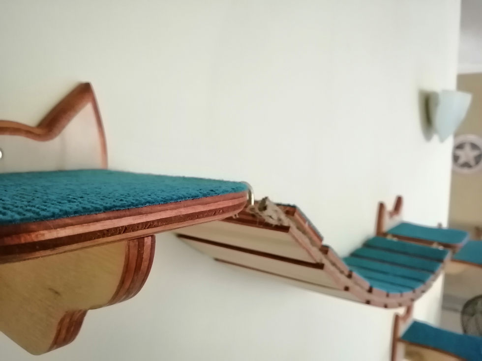 Puente colgante versión orejitas
