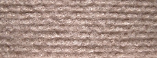 DSC09901_edited_edited_edited.jpg