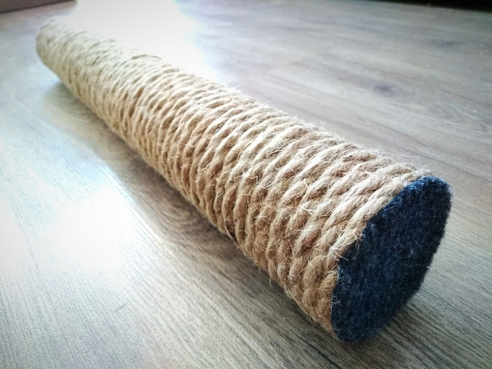 Cilindro