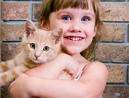 El amor del gatito
