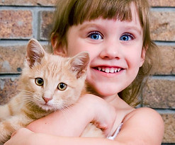 gato feliz con isitom